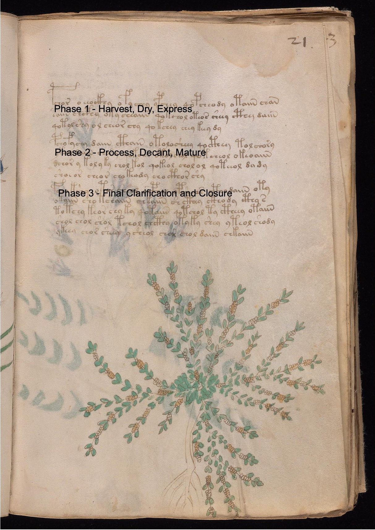 Labelled diagram of Folio 21r